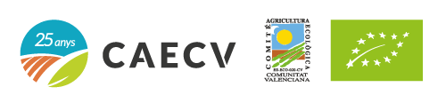 Caecv logo